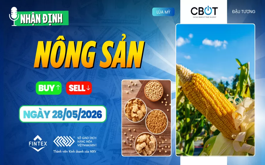 NHẬN ĐỊNH THỊ TRƯỜNG NÔNG SẢN NGÀY 28/05/2026